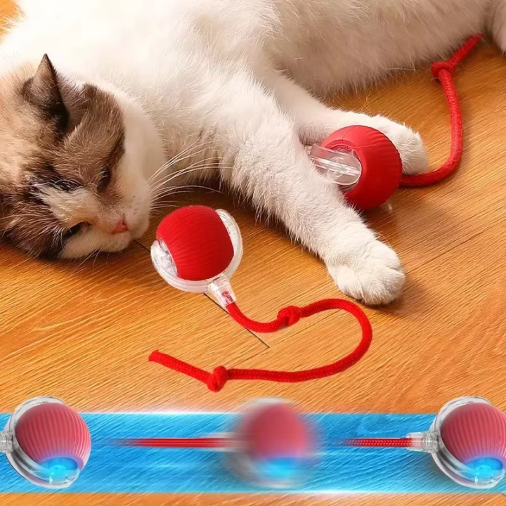 Juguete Interactivo Automático con Bola Rodante para Gatos | prologyc.es