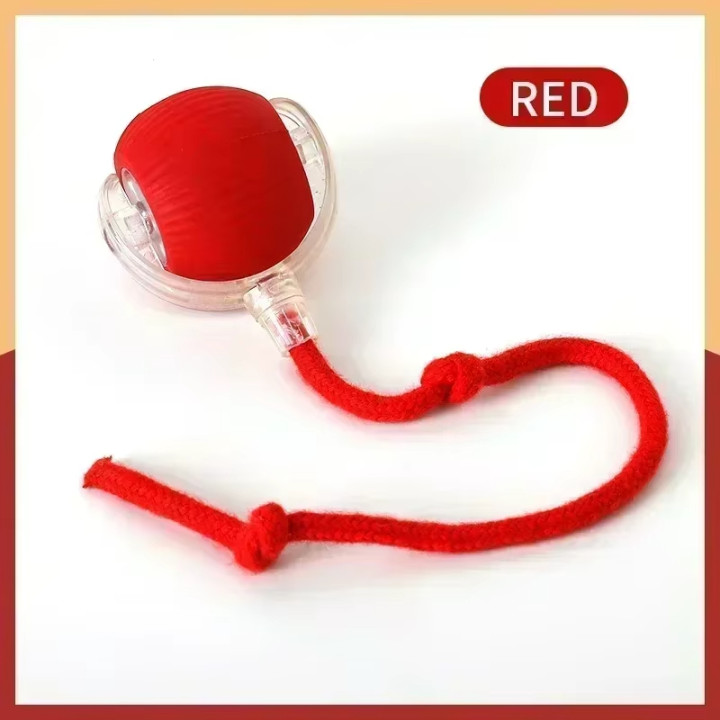 Juguete Interactivo Automático con Bola Rodante para Gatos | prologyc.es
