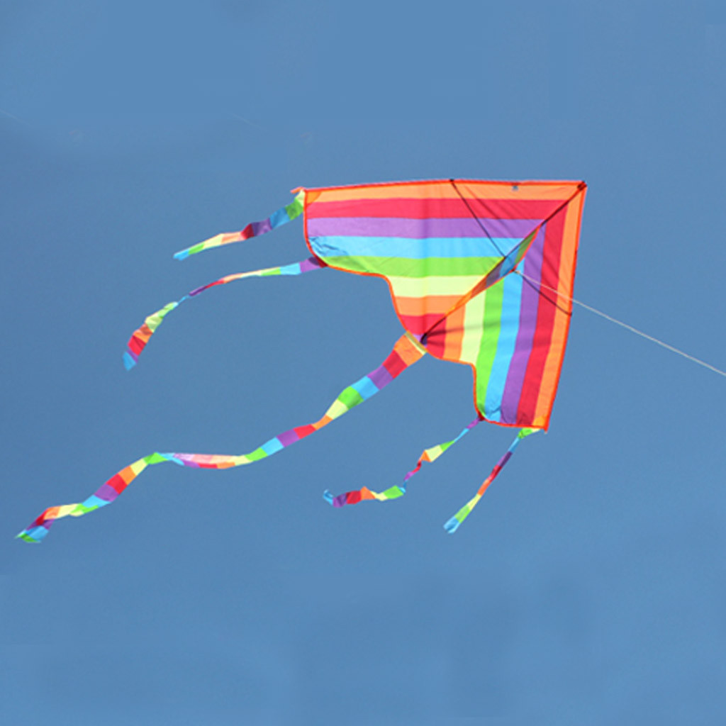 Cometa Arcoíris Infantil para Playa y Exterior | prologyc.es