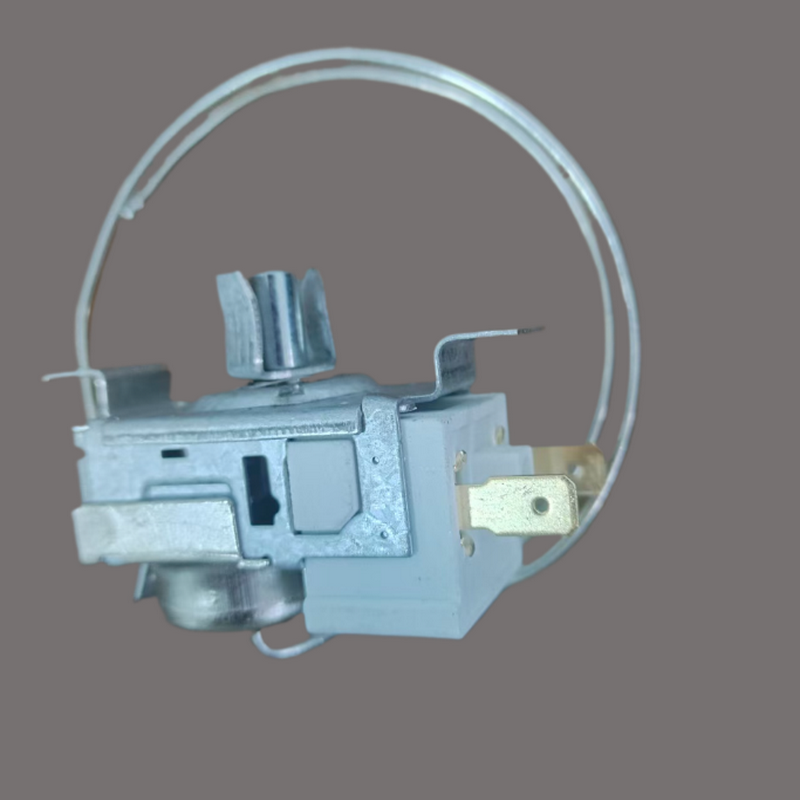 Termostato frigorífico WR09X20002 compatible | Prologyc