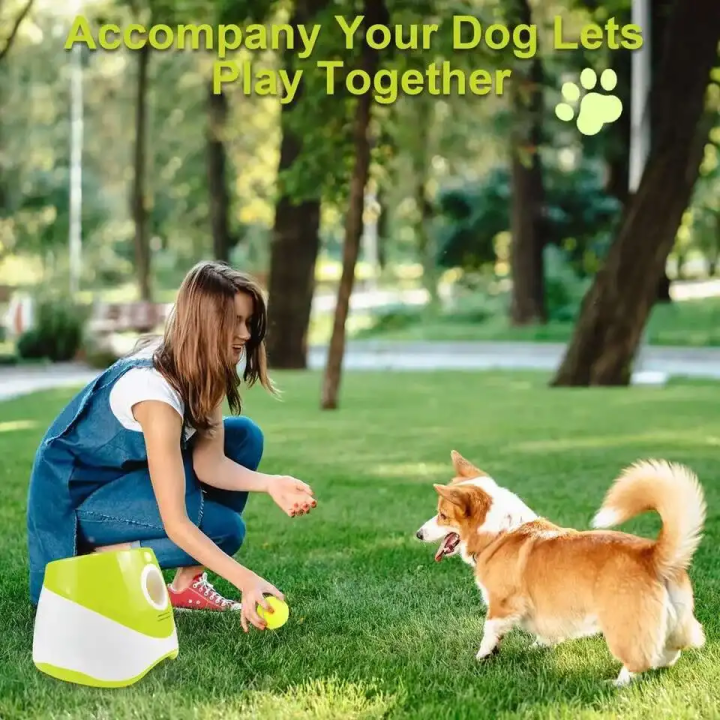 Lanzador automático de pelotas para perros | Prologyc.es